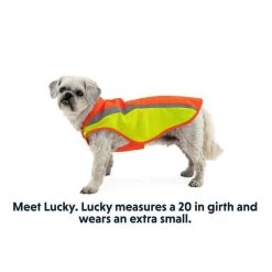 Ruffwear Lumenglow High-Vis Dog Jacket -Dog Equipment-Ruffwear 0577850L 11