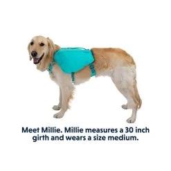 Ruffwear Front Range Day Pack -Dog Equipment-Ruffwear 5060421M 5