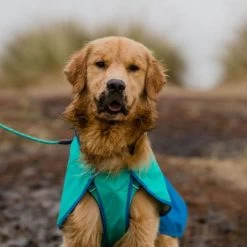 Ruffwear Sun Shower Dog Raincoat 13 Ruffwear Sun Shower Dog Raincoat -Dog Equipment-Ruffwear KW70482 3