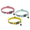 Ruffwear Hi & Light Lightweight Dog Collar