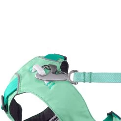 Ruffwear Hi & Light Dog Harness - Sage Green -Dog Equipment-Ruffwear RuffWear Hi Light Dog Harness Sage Green Front Image 3