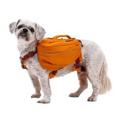 Ruffwear Approach Dog Pack -Dog Equipment-Ruffwear Ruffwear Approach Pack 22 NZ
