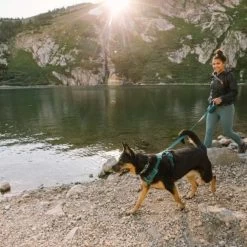 Ruffwear Front Range Dog Harness -Dog Equipment-Ruffwear Ruffwear Front Range Dog Harness NZ