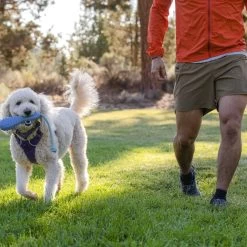 Ruffwear Gourdo Dog Toy -Dog Equipment-Ruffwear Ruffwear Gourdo Dog Toy 22 NZ