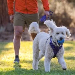 Ruffwear Huckama Dog Toy -Dog Equipment-Ruffwear Ruffwear Huckama Dog Toy 22 NZ