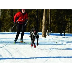 Ruffwear Omnijore Dog Joring System -Dog Equipment-Ruffwear Ruffwear Omnijore Dog Joring System Orange Poppy NZ 13