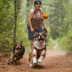 Ruffwear Turnup Dog Toy -Dog Equipment-Ruffwear Ruffwear Turnup Dog Toy 22 NZ