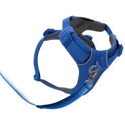 Ruffwear Front Range Harness - Blue Pool -Dog Equipment-Ruffwear Ruffwear Front Range Harness Blue Pool Front Image