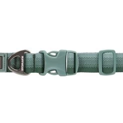 Ruffwear Front Range Collar - River Rock Green -Dog Equipment-Ruffwear Ruffwear Front Range River Rock Front Image Buckle
