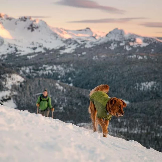 Ruffwear Powder Hound Dog Jacket 2 Ruffwear Powder Hound Dog Jacket - Image 2