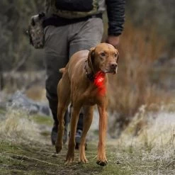 Ruffwear Beacon Dog Safety Light