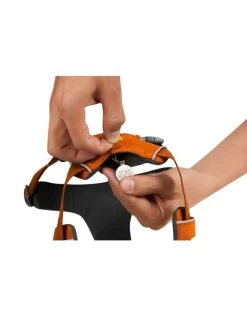 RUFFWEAR Front Range Harness - Campfire Orange -Dog Equipment-Ruffwear ruffwear ruffwear front range harness campfire ora 2