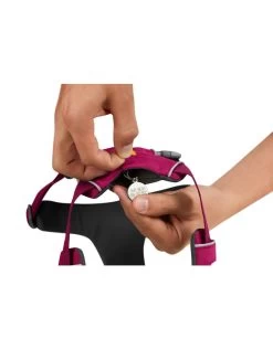 RUFFWEAR Front Range Harness - Hibiscus Pink -Dog Equipment-Ruffwear ruffwear ruffwear front range harness hibiscus pin 2
