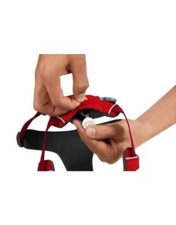 RUFFWEAR Front Range Harness - Red Sumac -Dog Equipment-Ruffwear ruffwear ruffwear front range harness red sumac 6