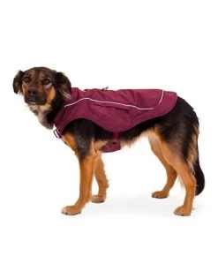 RUFFWEAR Overcoat Fuse Jacket Purple Rain -Dog Equipment-Ruffwear ruffwear ruffwear overcoat fuse jacket purple rain 3