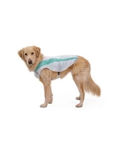 RUFFWEAR Swamp Cooler Vest Sage Green 9 RUFFWEAR Swamp Cooler Vest Sage Green -Dog Equipment-Ruffwear ruffwear ruffwear swamp cooler vest sage green 4