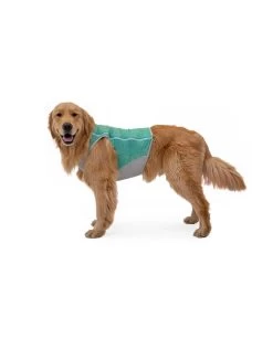 RUFFWEAR Swamp Cooler Zip Vest Aurora Teal -Dog Equipment-Ruffwear ruffwear ruffwear swamp cooler zip vest aurora tea 3