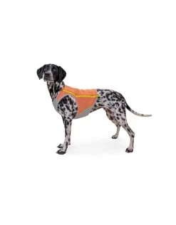 RUFFWEAR Swamp Cooler Zip Vest Salmon Pink -Dog Equipment-Ruffwear ruffwear ruffwear swamp cooler zip vest salmon pin 3