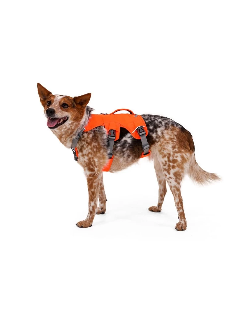 RUFFWEAR Web Master Harness Blaze Orange 4 RUFFWEAR Web Master Harness Blaze Orange - Image 4
