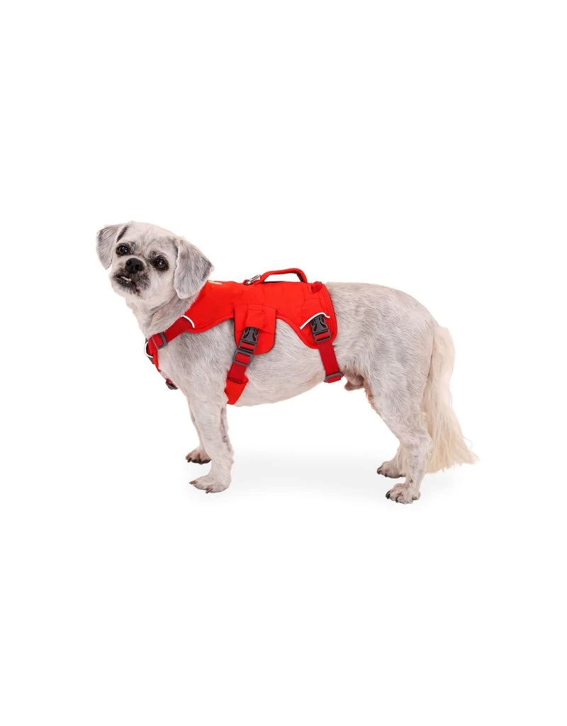 RUFFWEAR Web Master Harness Red Sumac 4 RUFFWEAR Web Master Harness Red Sumac - Image 4