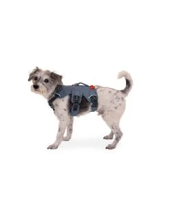 RUFFWEAR Web Master Harness Slate Blue -Dog Equipment-Ruffwear ruffwear ruffwear web master harness slate blue 4
