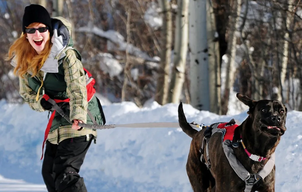 Dog Equipment-Ruffwear -Dog Equipment-Ruffwear 1.1